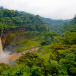 Cameroun