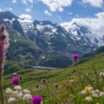 Profiter des Alpes