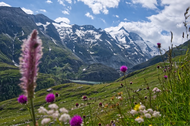 Profiter des Alpes