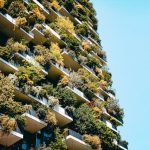 Immobilier vert