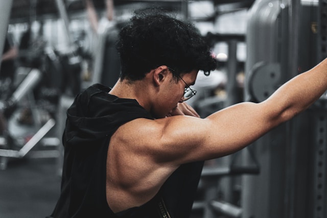 Génétique musculaire